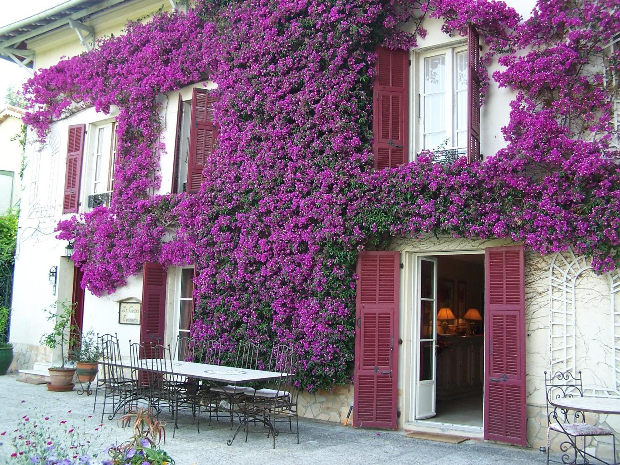 Castel Enchante Nice Exterior photo