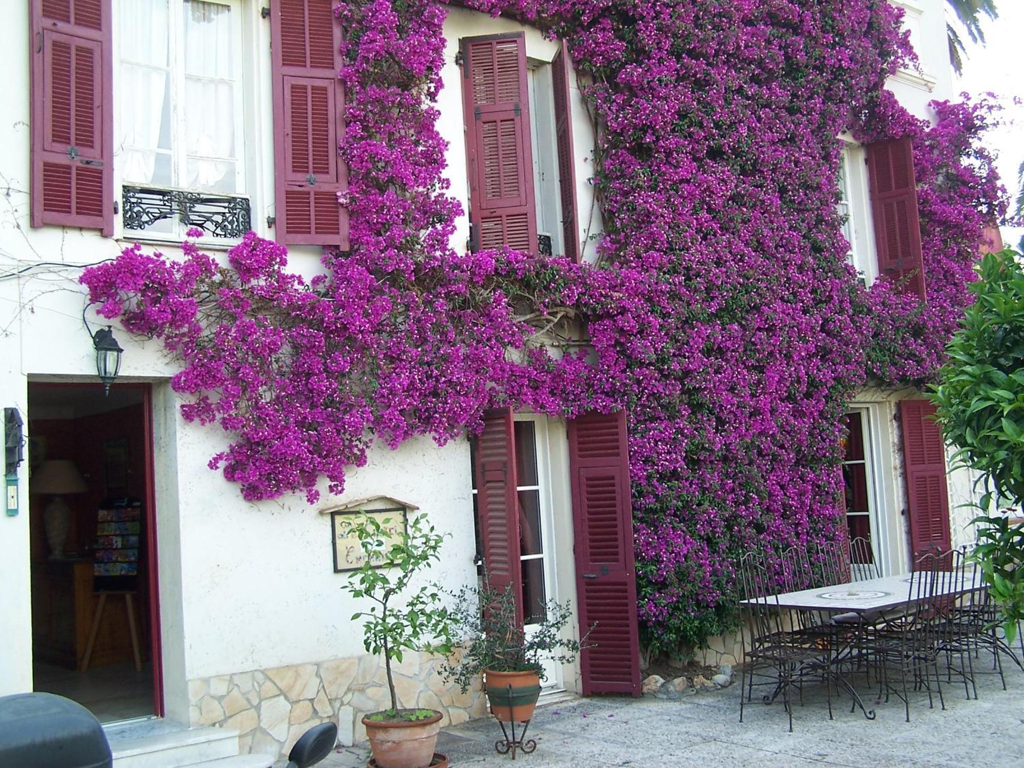 Castel Enchante Nice Exterior photo